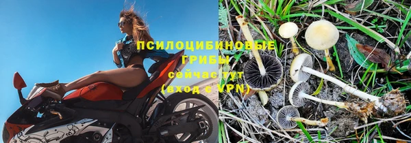сатива Алексеевка