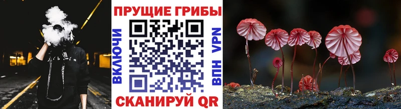 где найти Когалым Галлюциногенные грибы мухоморы
