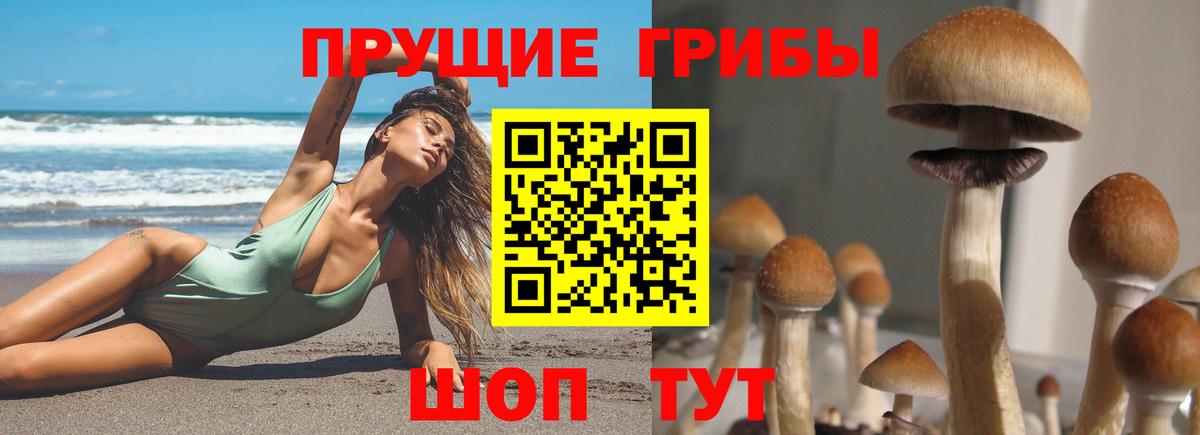 Когалым  Псилоцибиновые грибы MAGIC MUSHROOMS  Вход с VPN  Псилоцибиновые грибы MAGIC MUSHROOMS 
